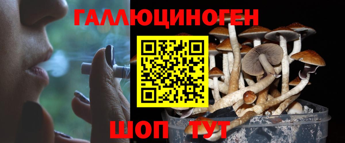 Псилоцибиновые грибы ЛСД Кохма
