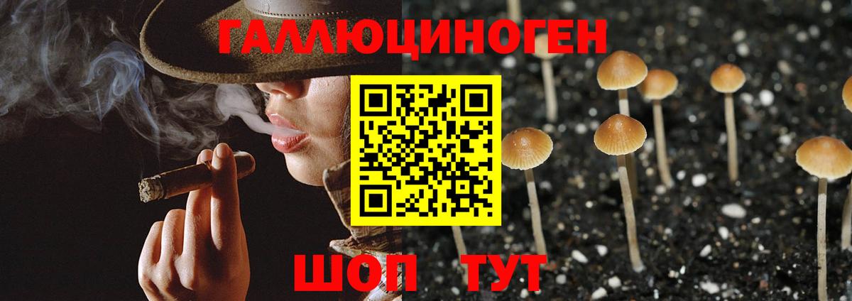 Галлюциногенные грибы Cubensis  Вход с VPN  Галлюциногенные грибы Cubensis  Кохма 